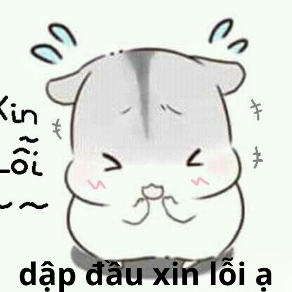 đạp đầu xin lỗi ạ