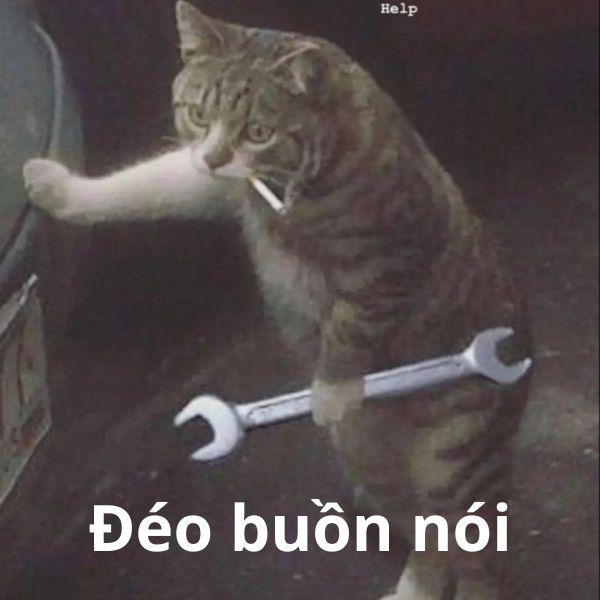 đéo buồn nói bất lực vlon