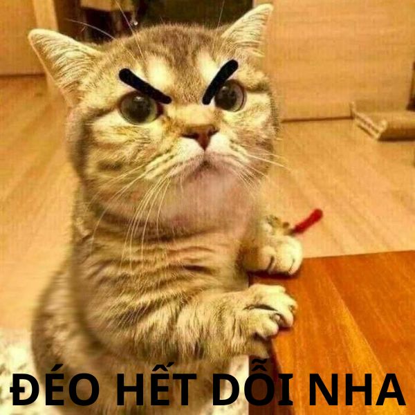 đéo hết dỗi nha
