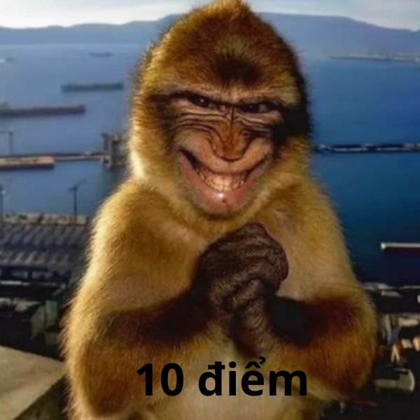 diem 100