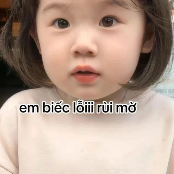 em biết lỗi rồi