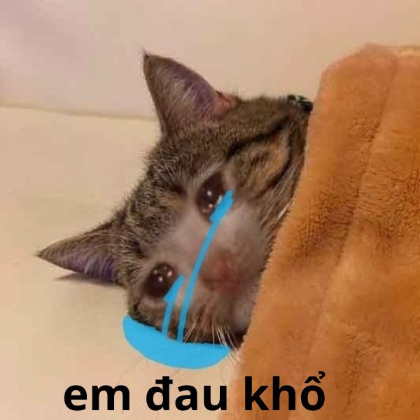 em đau khổ