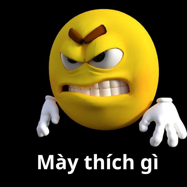 emoji meme mày thích gì