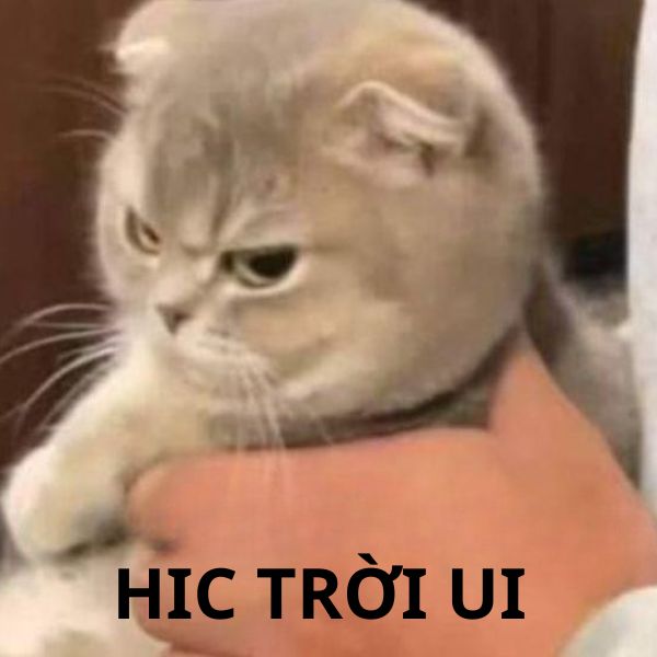 hic trời ơi