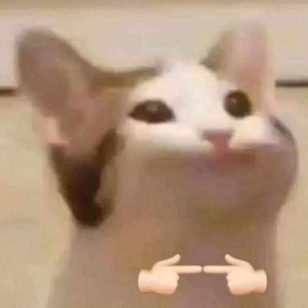 hình ảnh meme cảm ơn