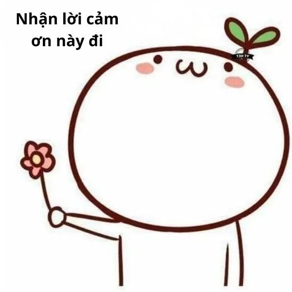 hinh anh meme cảm ơn