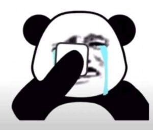 hình ảnh meme gấu trúc khóc buồn cười