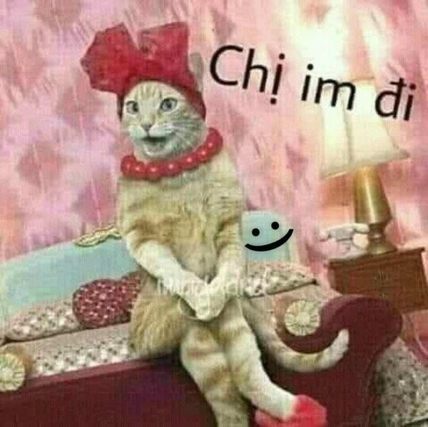 hình ảnh meme vô tri