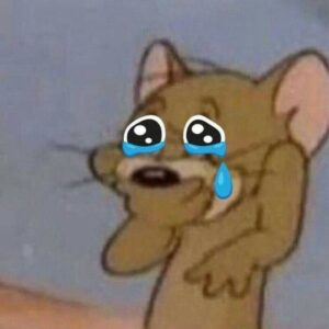 hình ảnhmeme jerry khóc cực hài