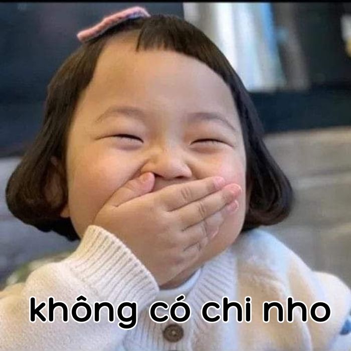 không có chi meme hài hước