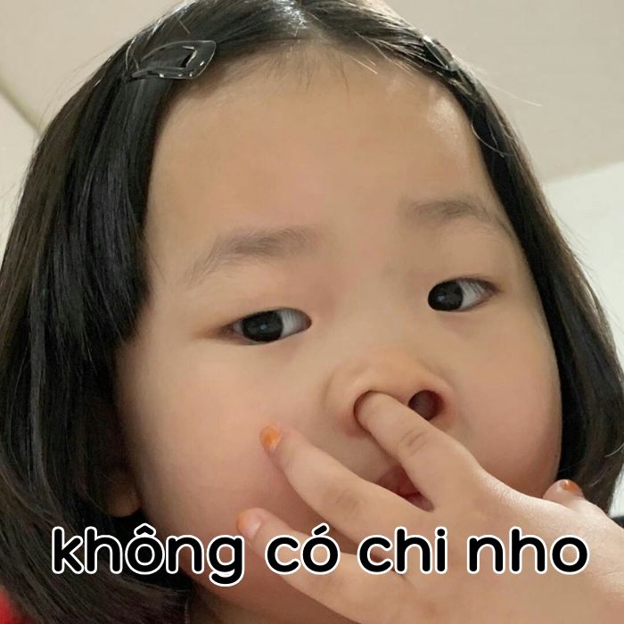 không có chi meme hài nhất