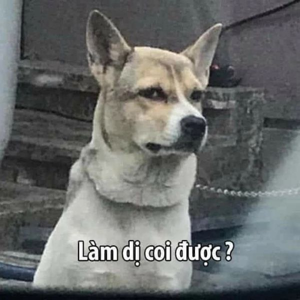 làm vậy coi được ư