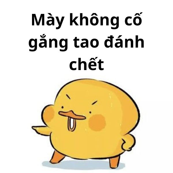 mày không cố gắng gtao đánh chết