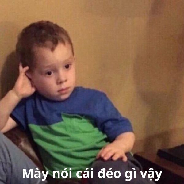 mày nói cái đéo gì vậy