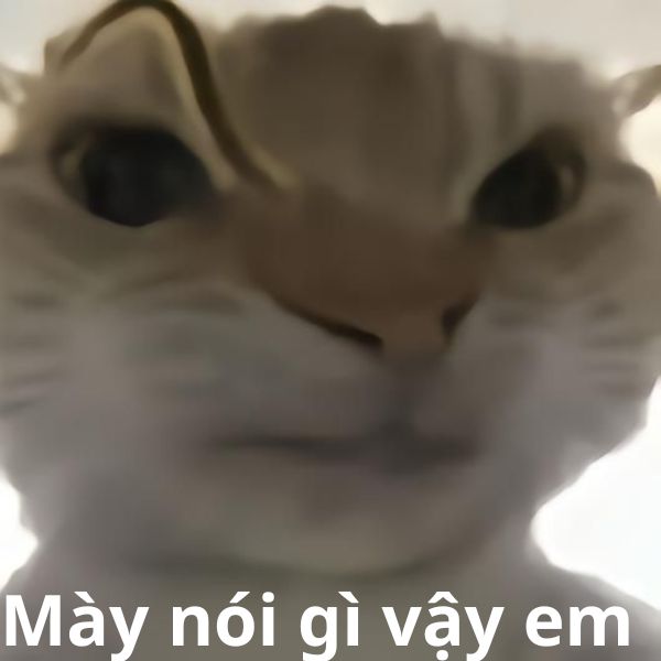 mày nói gì vậy em `