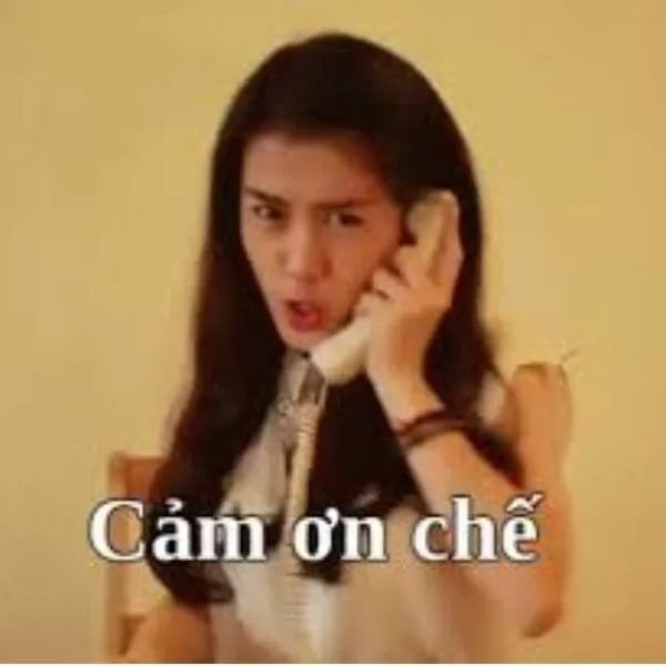 meme cảm ơn chế
