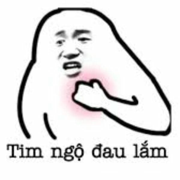 meme hài đau tim