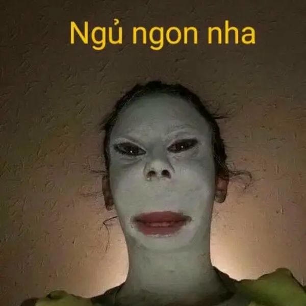 meme hài ngủ ngon