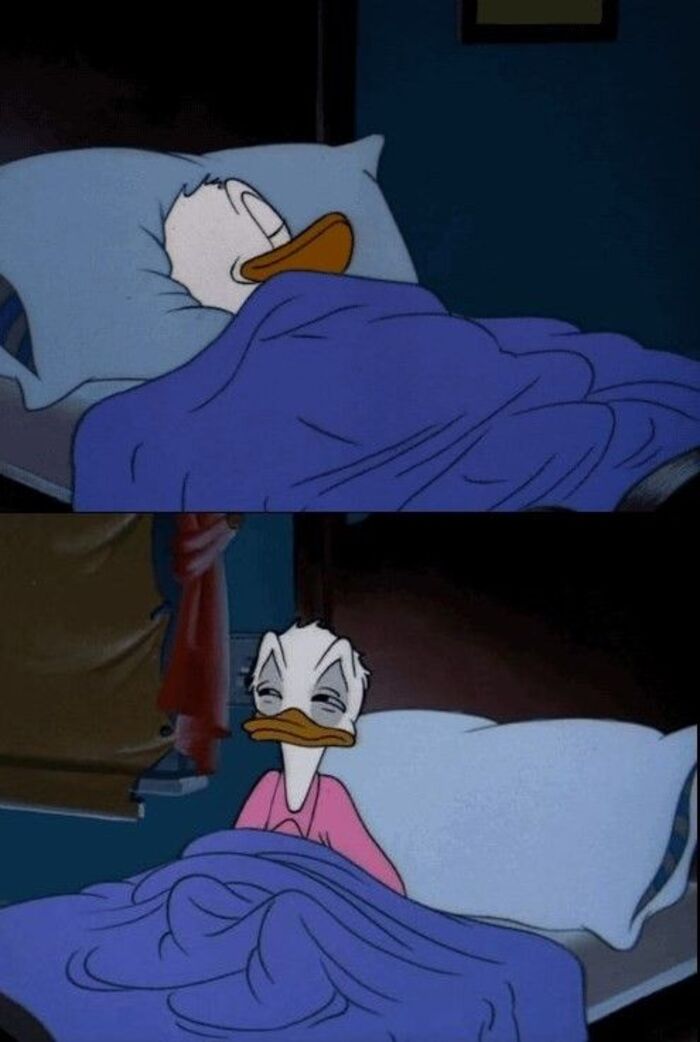 meme mới ngủ dậy vịt