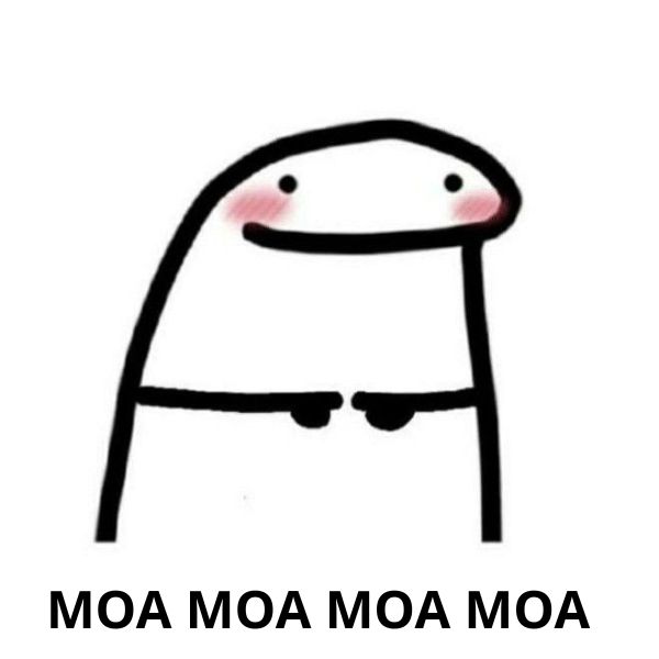 meme ngại quá đuy