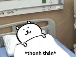 meme ngủ ngon chikawa