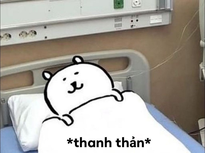 meme ngủ ngon chikawa