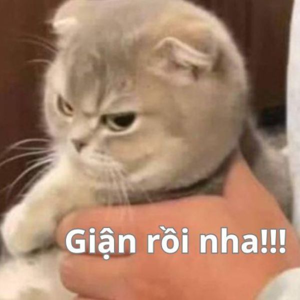 meme tức giận