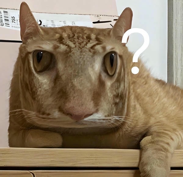 meme vô tri joir chấm