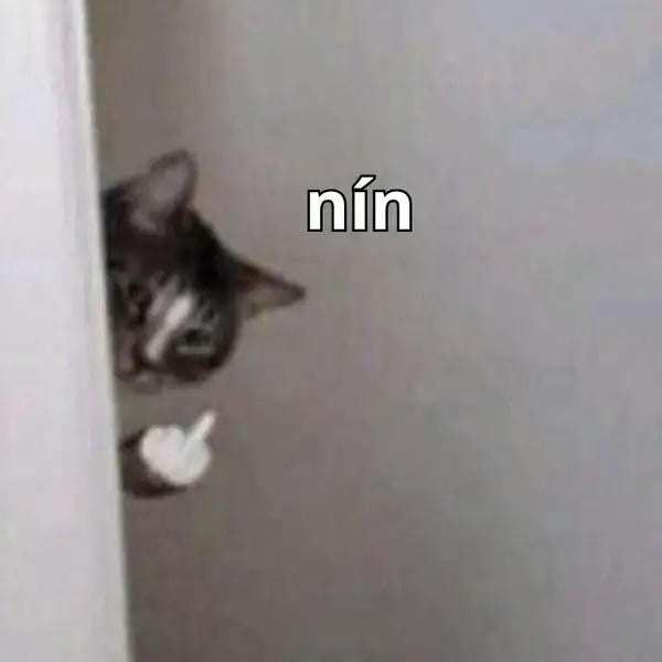 mèo nín