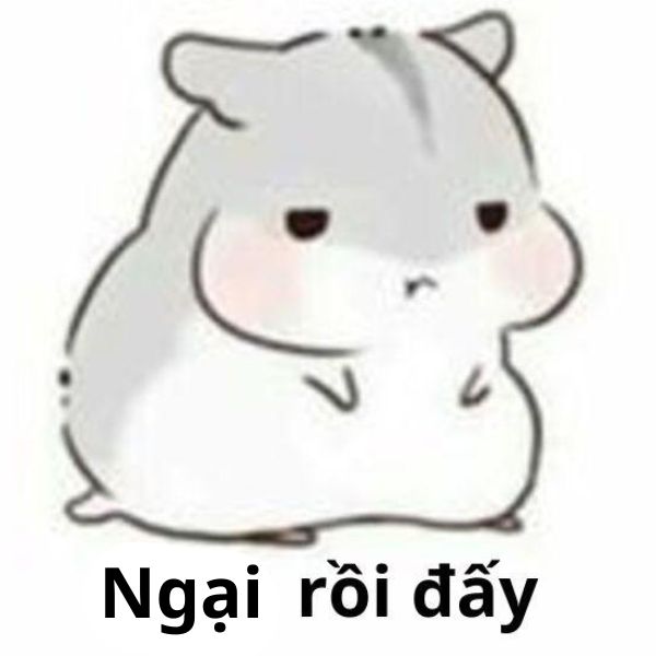 ngại rồi đấy