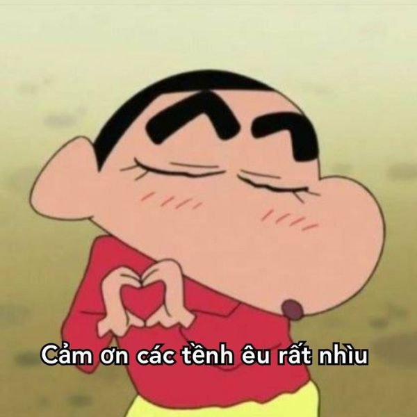 shin cảm ơn