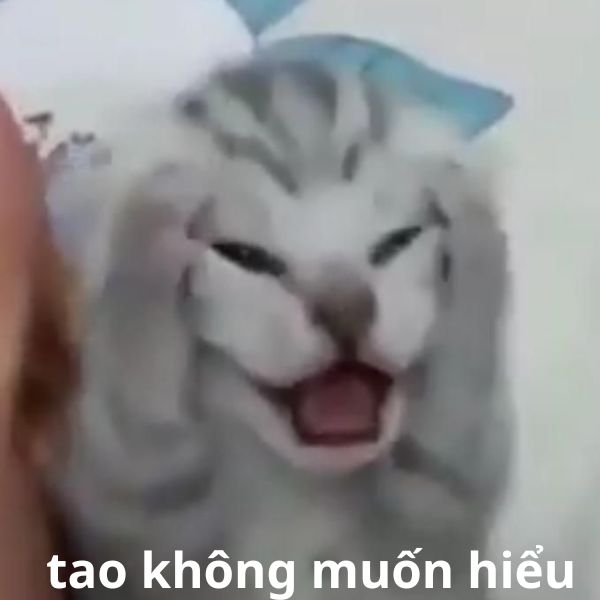 tao không muốn hiểu