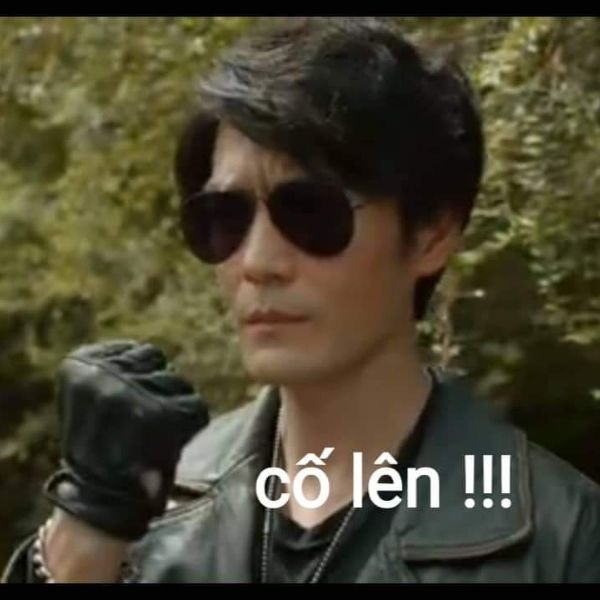 tất cả cố lên