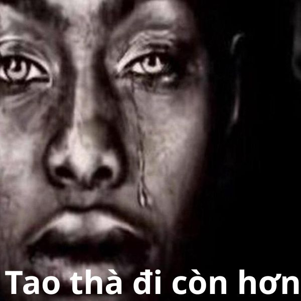 thà tao đi còn hơn