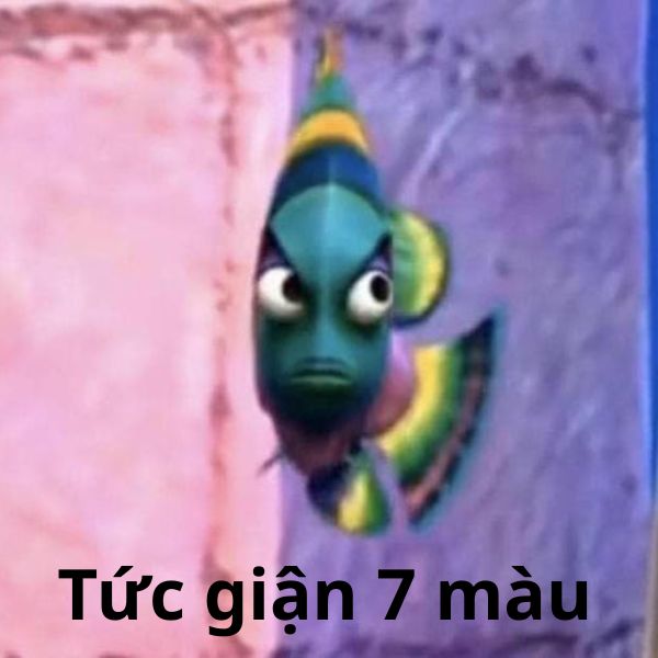 tức giận nhiều màu