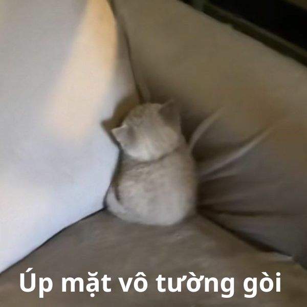 úp mặt vô tường gòi nè
