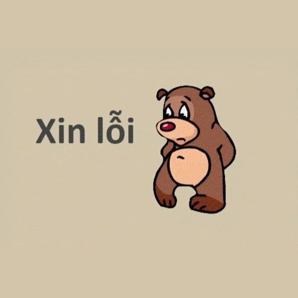 xin loi
