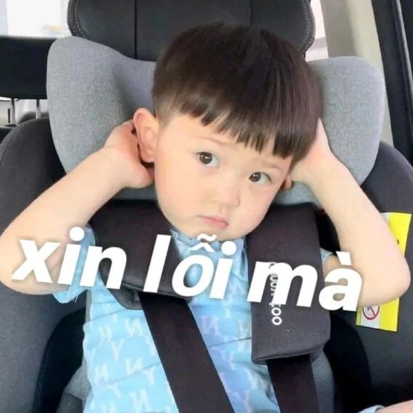 xin lỗi mf