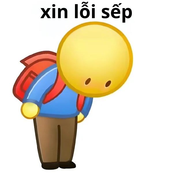 xin lỗi sếp