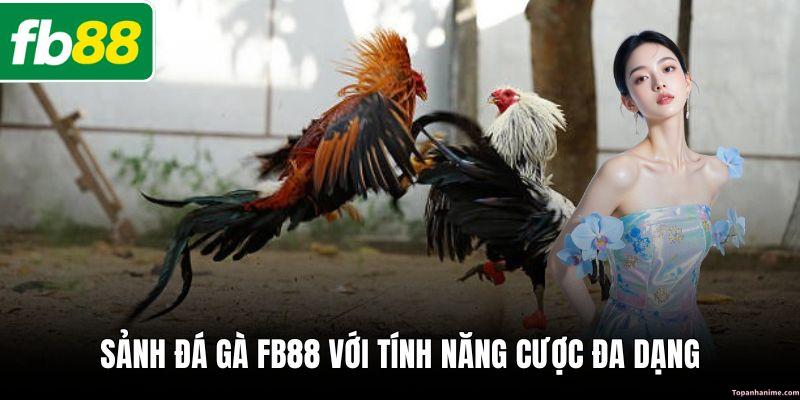 sanh-da-ga-fb88-noi-hoi-tu-cua-nhung-chien-ke-huyen-thoai