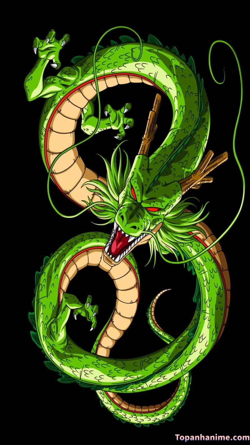 Album ảnh ảnh rồng anime mới