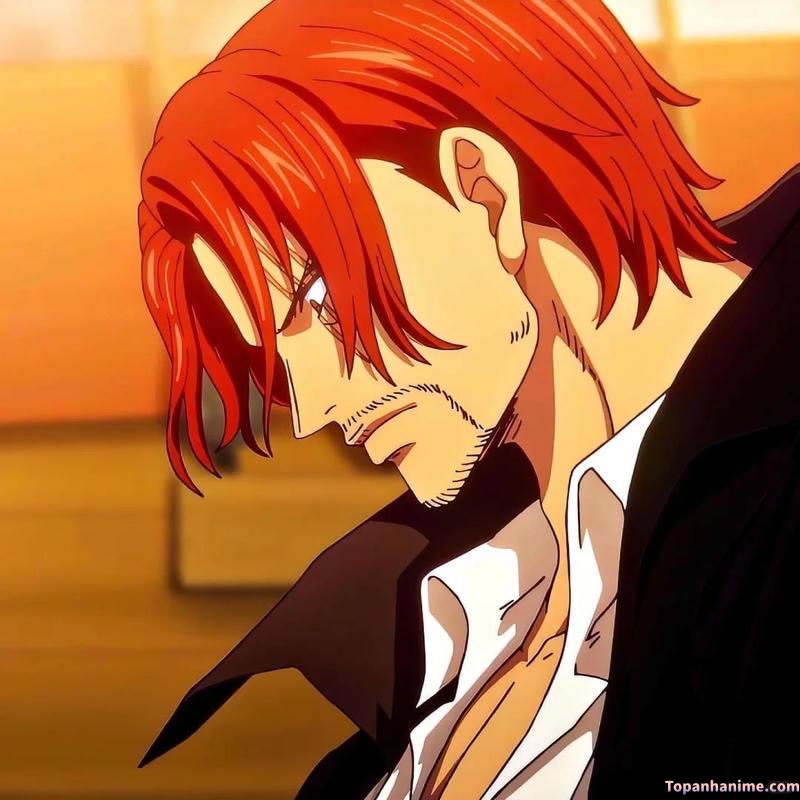 Bộ ảnh shanks sắc nét
