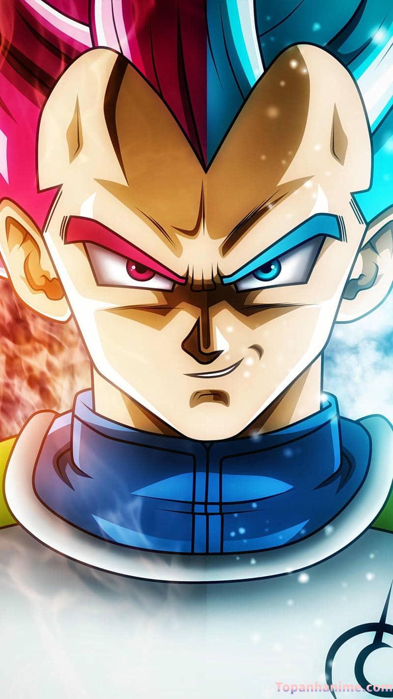 Bộ ảnh vegeta cuốn hút