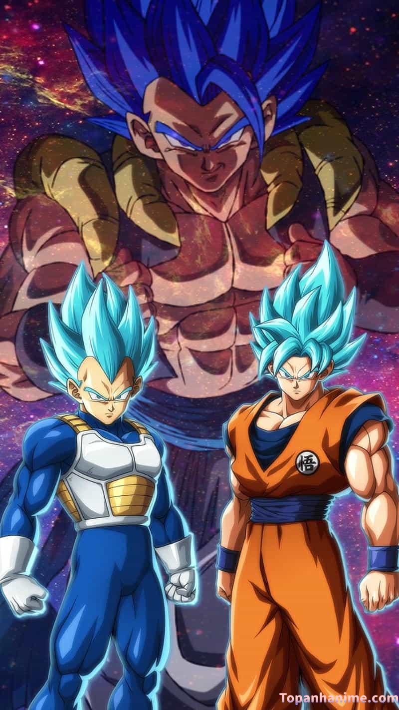 Bộ ảnh vegeta thu hút