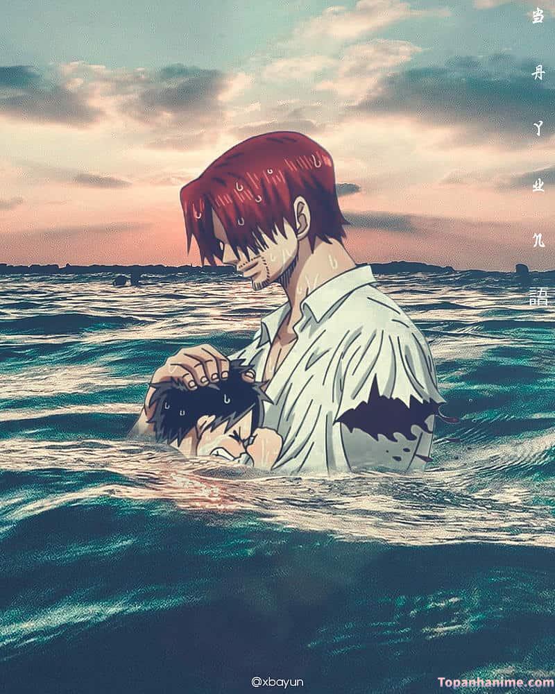 Bộ hình ảnh shanks sắc nét