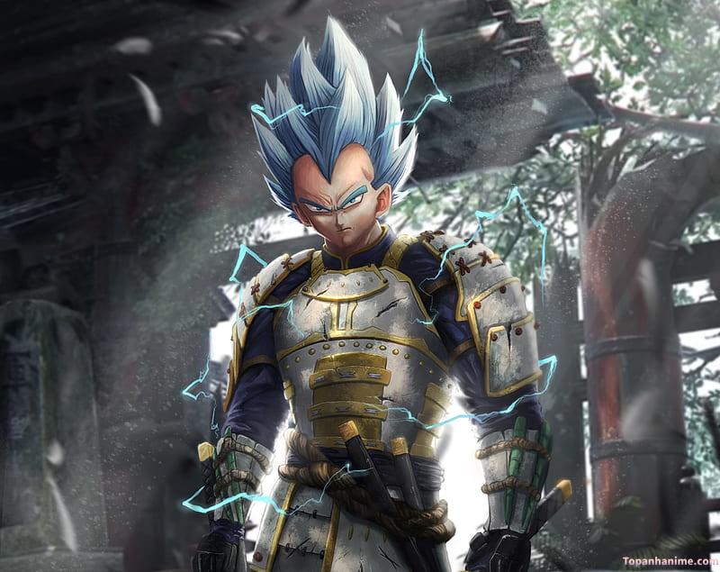 Bộ hình ảnh vegeta sắc nét