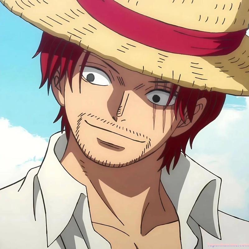 Bộ sưu tập ảnh shanks mới nhất