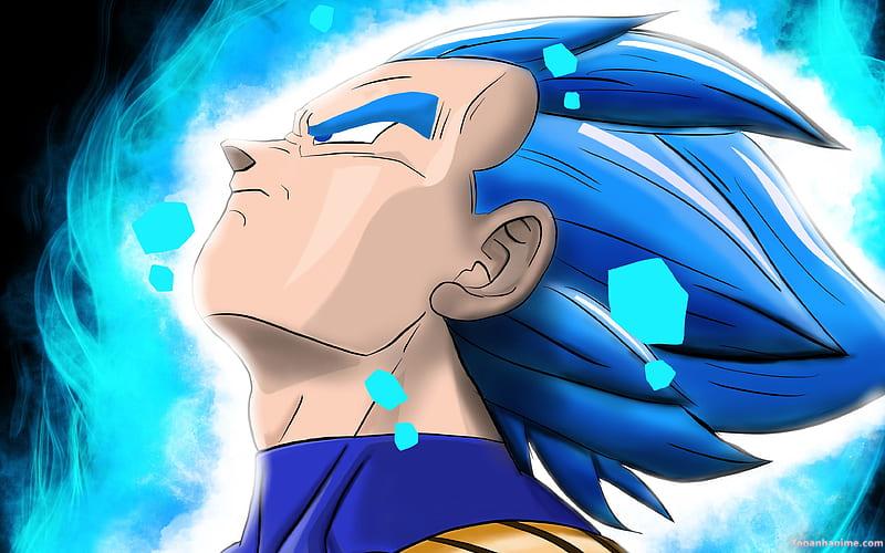 Khám phá ảnh vegeta mới nhất