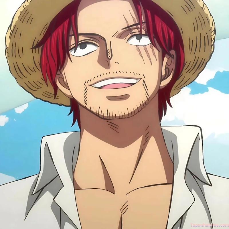 Kho ảnh shanks chất lượng