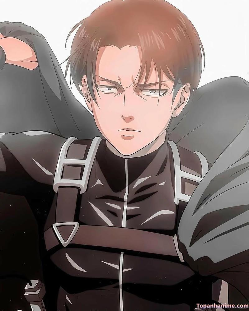 Loạt ảnh levi ackerman chất lượng